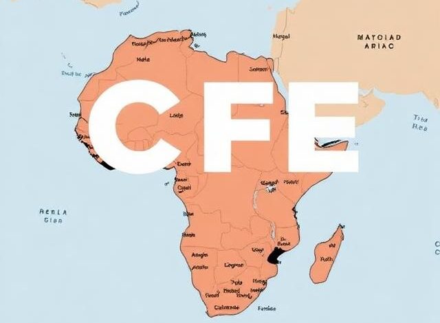 How Does Becoming a CFE Shape the Future of Forensic Accounting in South Africa?